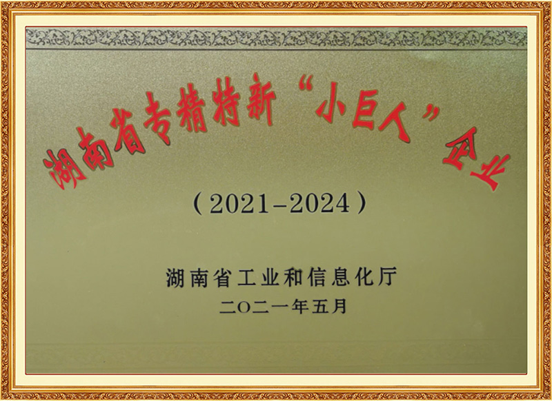 湖南省专精特新“小巨人”企业