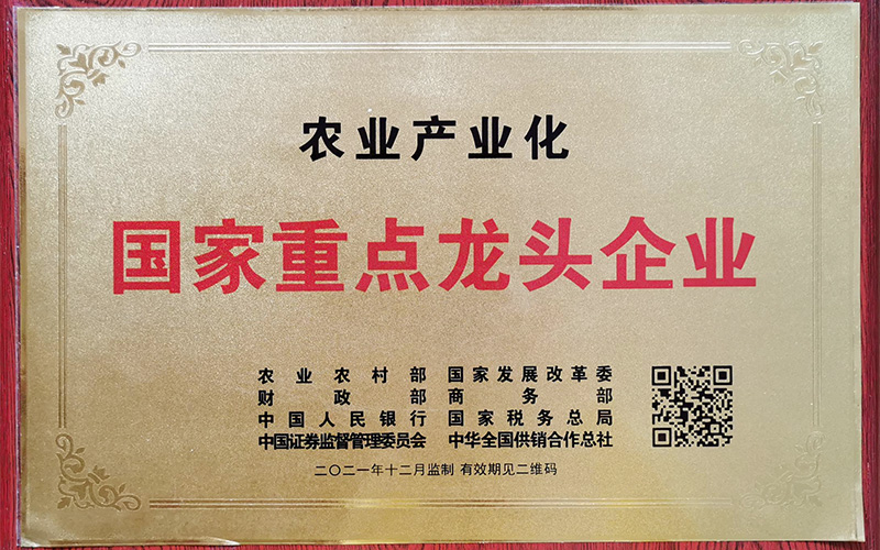 喜讯！桃花江竹材被认定为“农业产业化国家重点龙头企业“