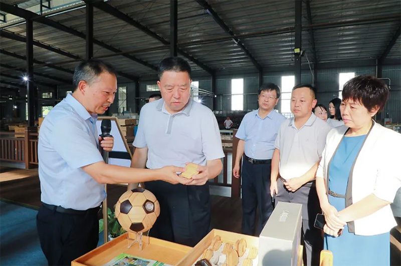 省政协主席毛万春一行来桃花江竹材调研