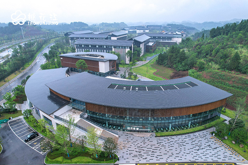 四川天府国际艺术城