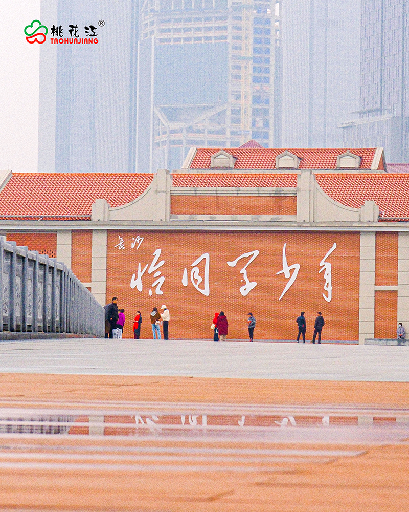 恰同学少年广场